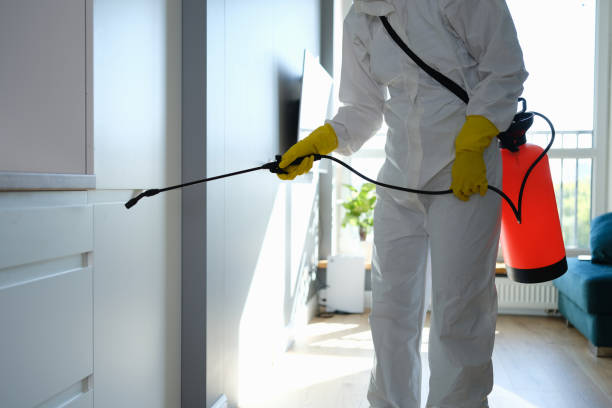 Professional Mold Removal in Minnetrista, MN